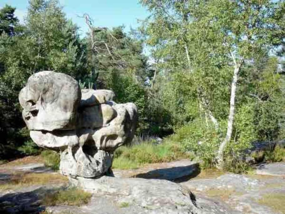 La Pause Allongee - Fontainebleau Hypercentre Экстерьер фото